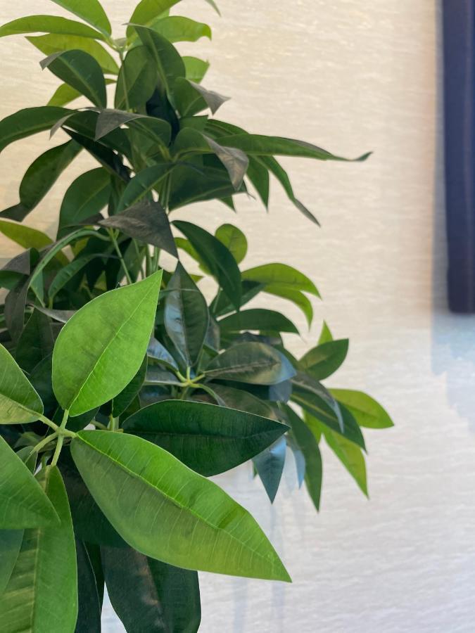 Niseko Hotel Kiraku Kou Екстер'єр фото